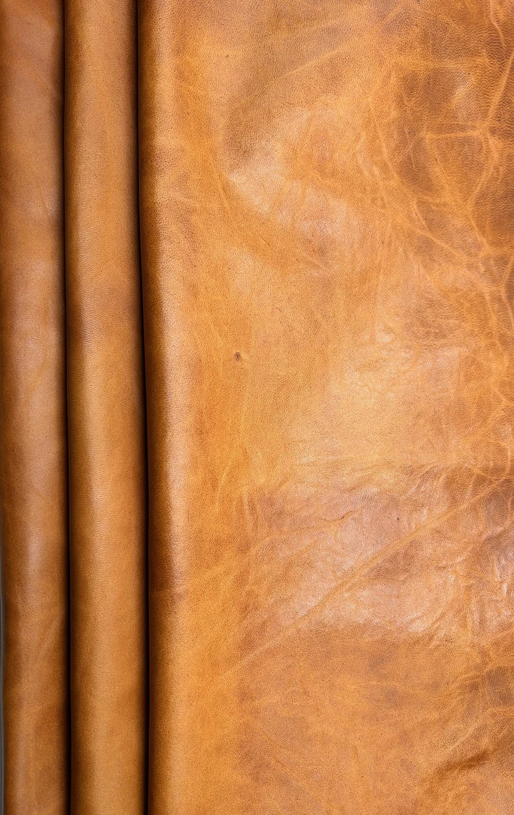 Savanna Orange